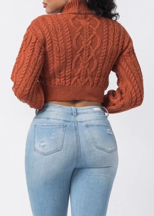 Hera Collection Turtle Neck Crop Cable Sweater (Rust) 22574