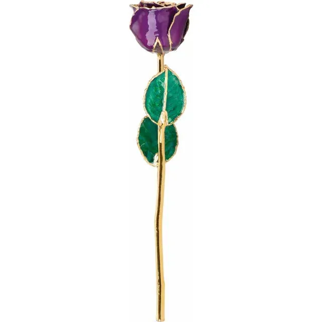 Laquered Rose - Purple with Gold Trim