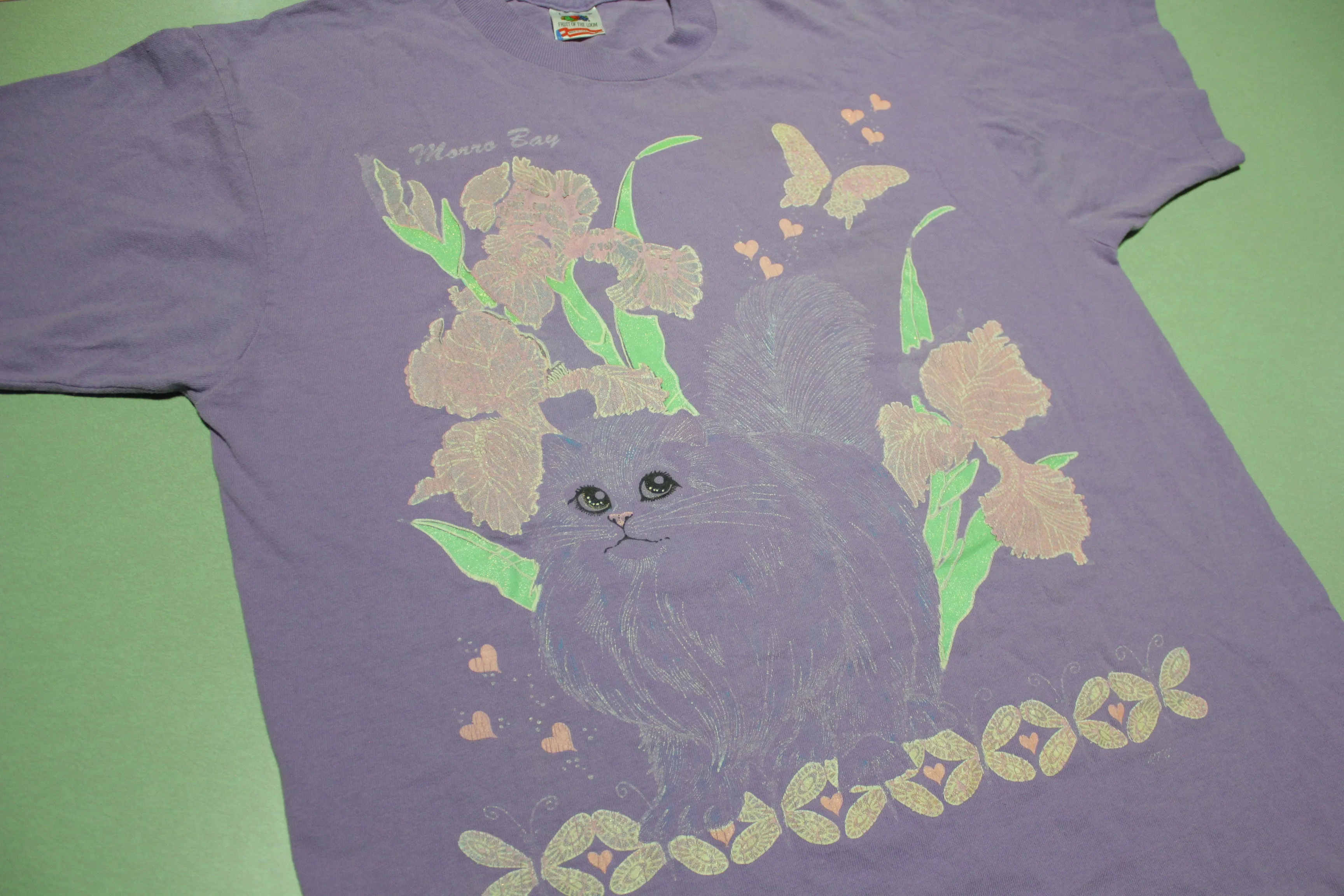 Morro Bay Sparkle Glitter Purple FOTL USA Vintage Cat T-Shirt