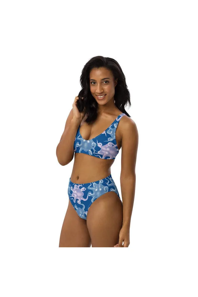 Octopus Enthusiasts Recycled high-waisted bikini