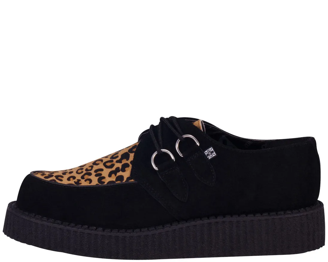 T.U.K Mountain Cat Black Suede / Leo Low Sole Creeper