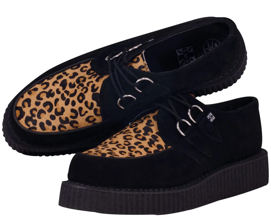 T.U.K Mountain Cat Black Suede / Leo Low Sole Creeper