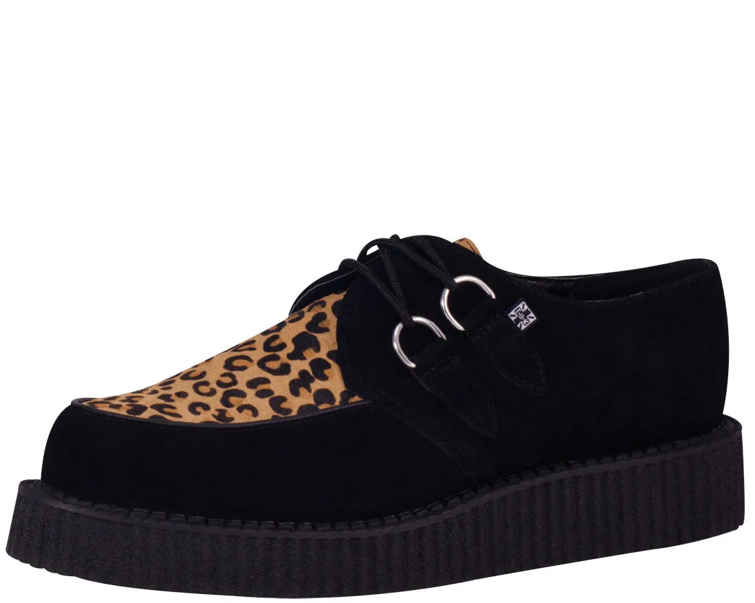 T.U.K Mountain Cat Black Suede / Leo Low Sole Creeper