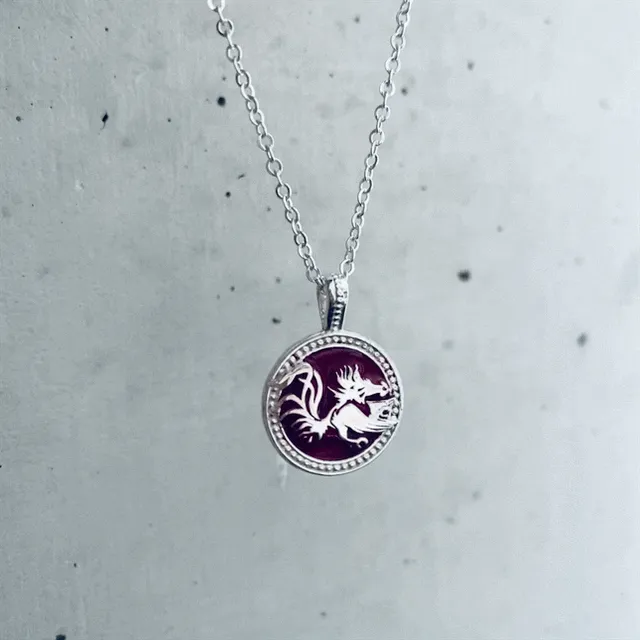 University of South Carolina Coin Pendant Necklace - Enamel