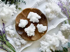 White Aragonite - Grade AAA || Mexico